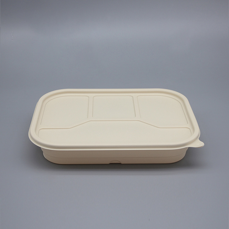 Biodegradable food container with lid from  DisposablesInc.com. The best import service in China. Import your disposable items from us.